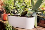 50005111-Vaso-Jardineira-42cm-Branco-Antigo-Amb-24