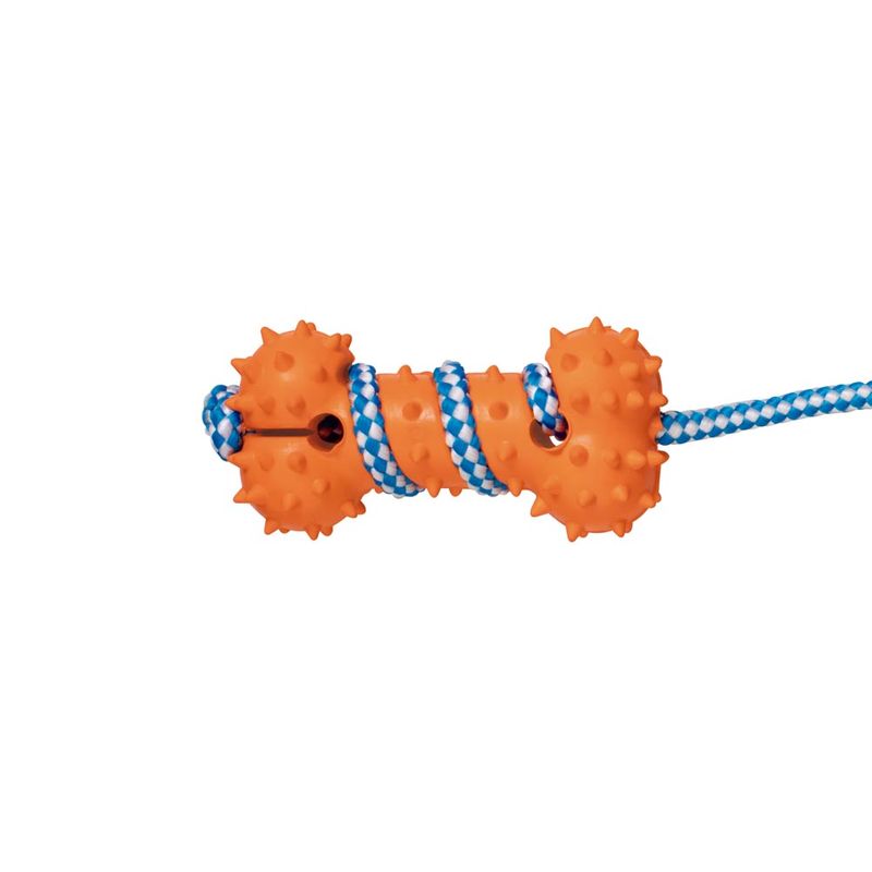60020368-Corda-Com-Osso-Det-1