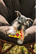 60020365-Brinquedo-Pelucia-Pizza-Amb-5