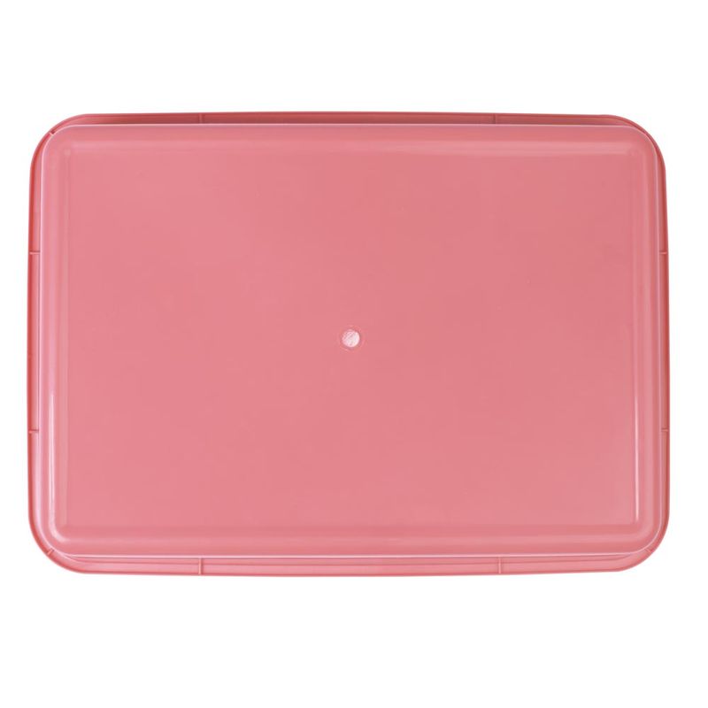 60020306-Bandeja-Higienica-Rosa-6