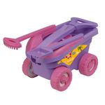 002608-Cargo-11-Pecas-Com-Acessorio-Rosa-3