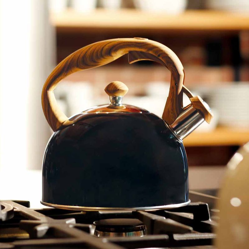 007715-Chaleira-Wood-25L-Preta-Amb-3