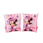 001184-Boia-Braco-Minnie-1